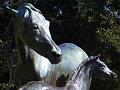 Horses, Royal Botanic Gardens IMGP2750